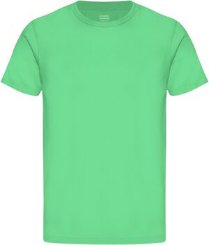 Classic Organic Tee