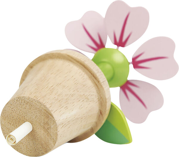 Tender Leaf - Blomst i potte