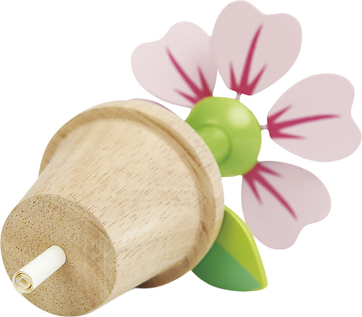 Tender Leaf - Blomst i potte