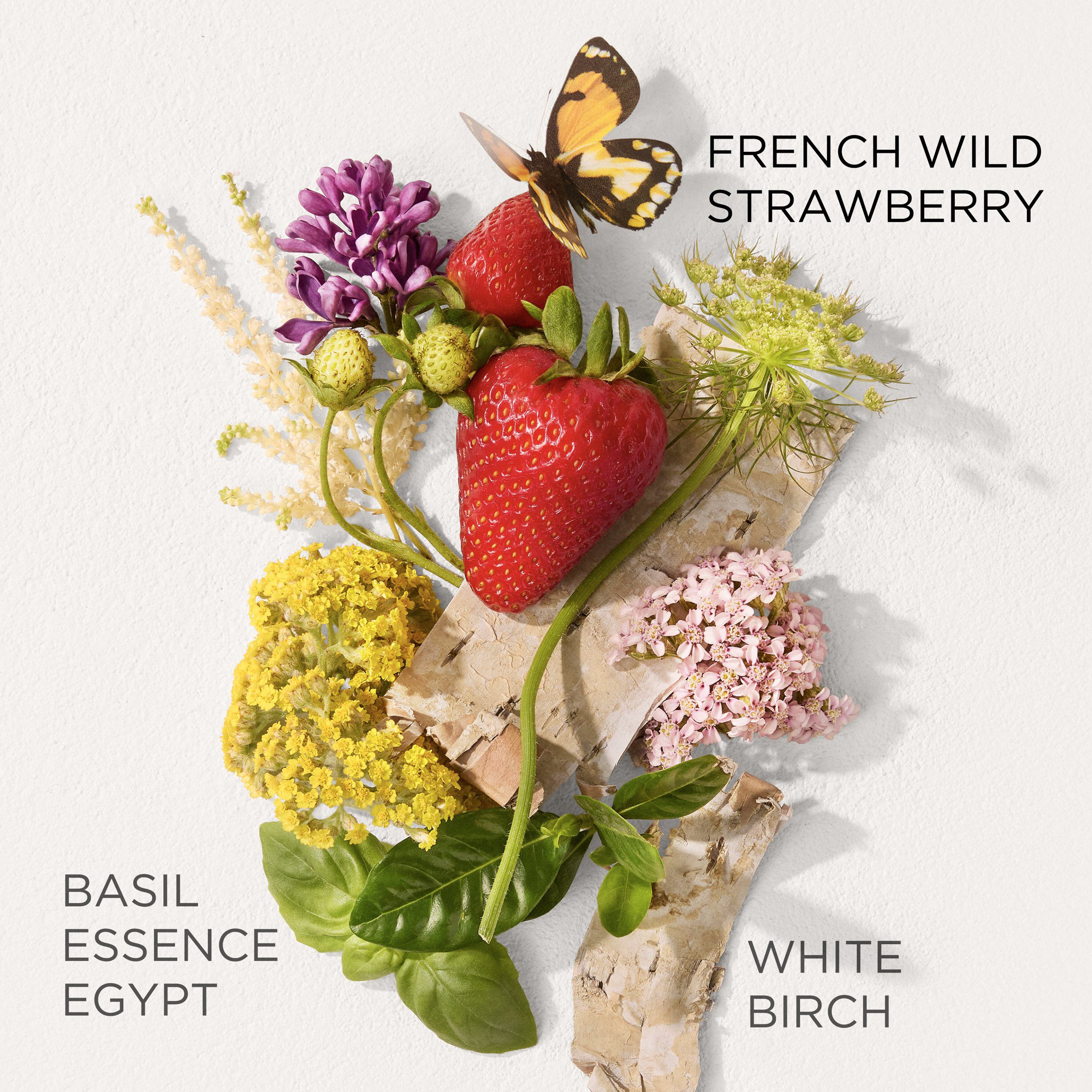 Green Tea Strawberry Basil