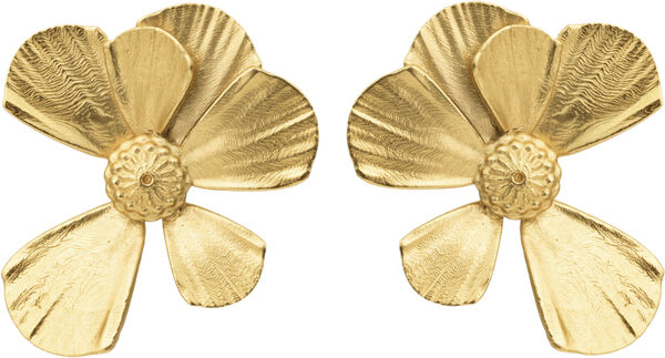 WILDFLOWER AMPLE ØRERINGE