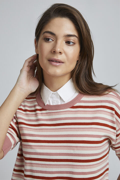 FAZACOLLAR 1 Accessoires