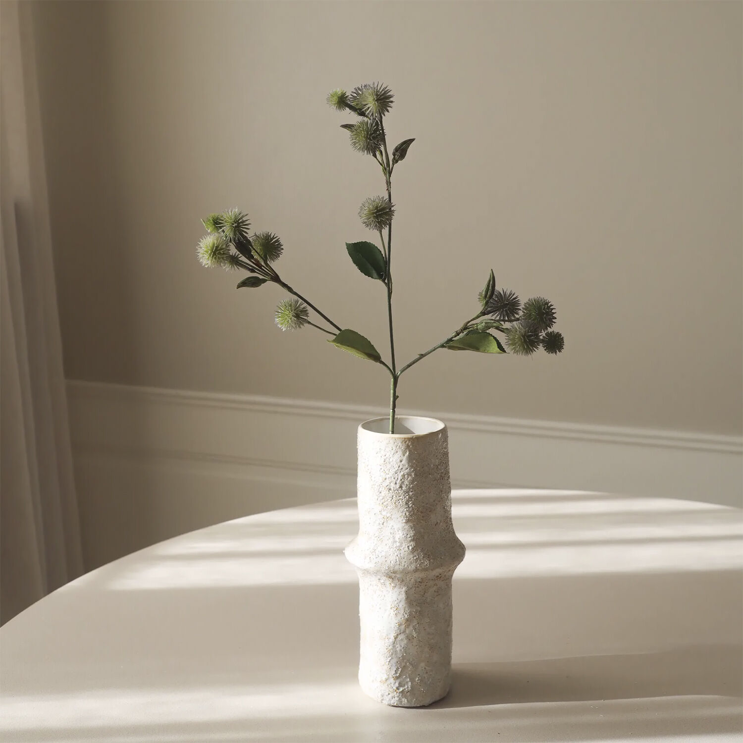 Echinops Ritro Thistle Ball