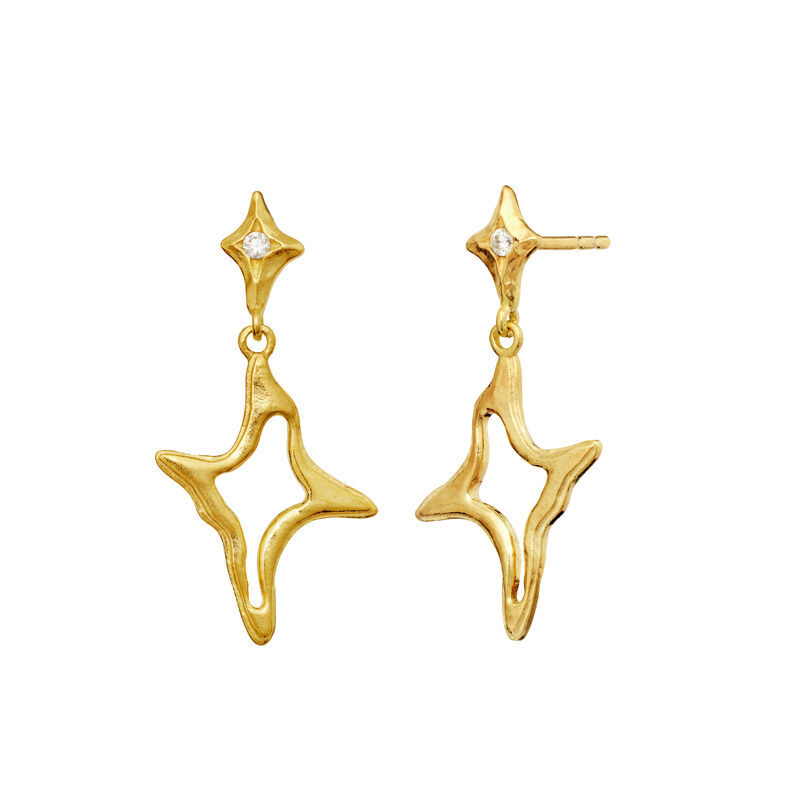 Roxy Earrings