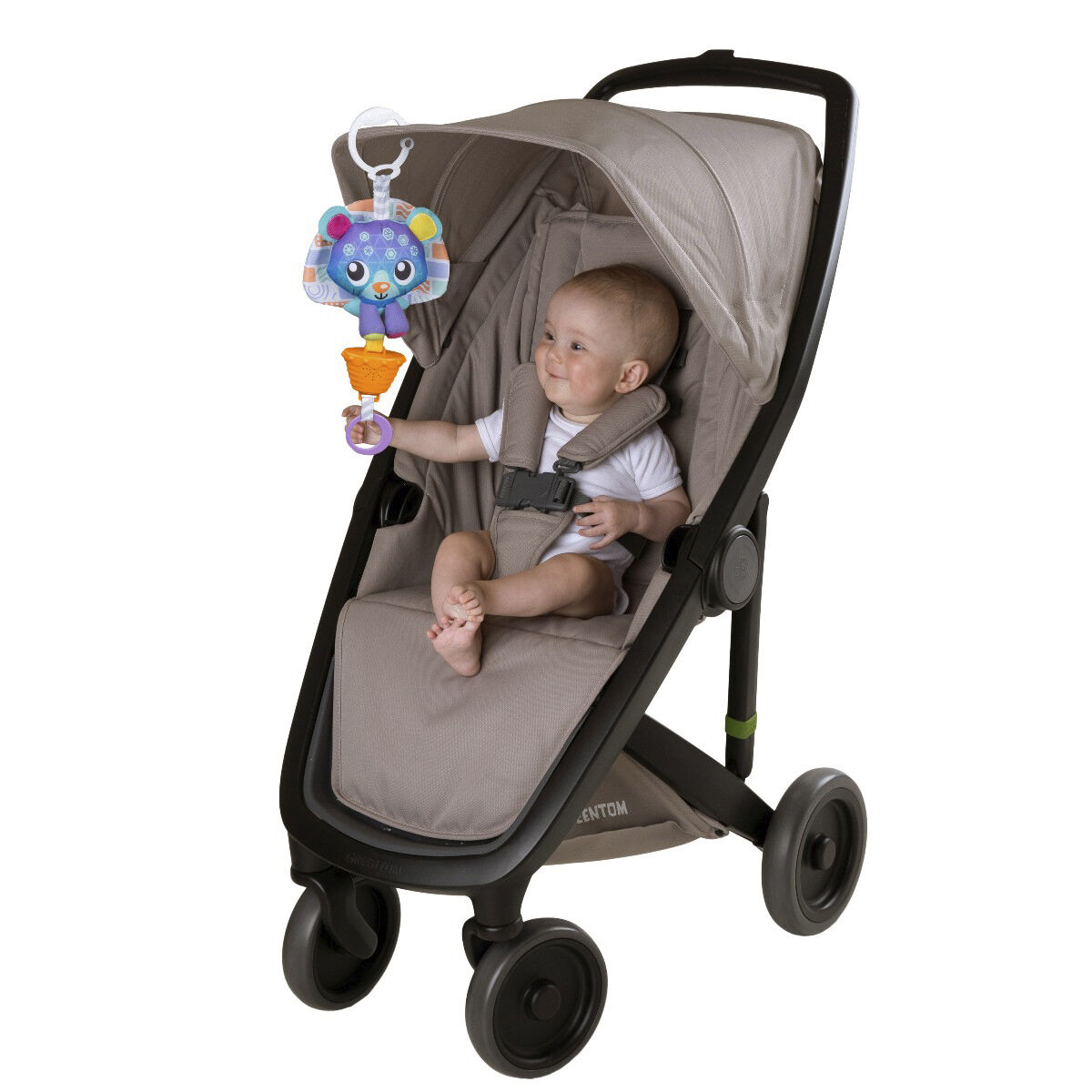 Bj&oslash;rn med musik