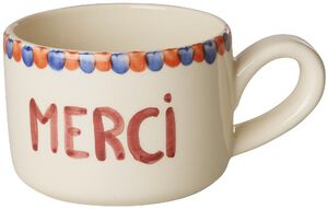 CECUP-HPCAMER