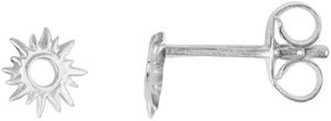 Sun Wild Stud-R
