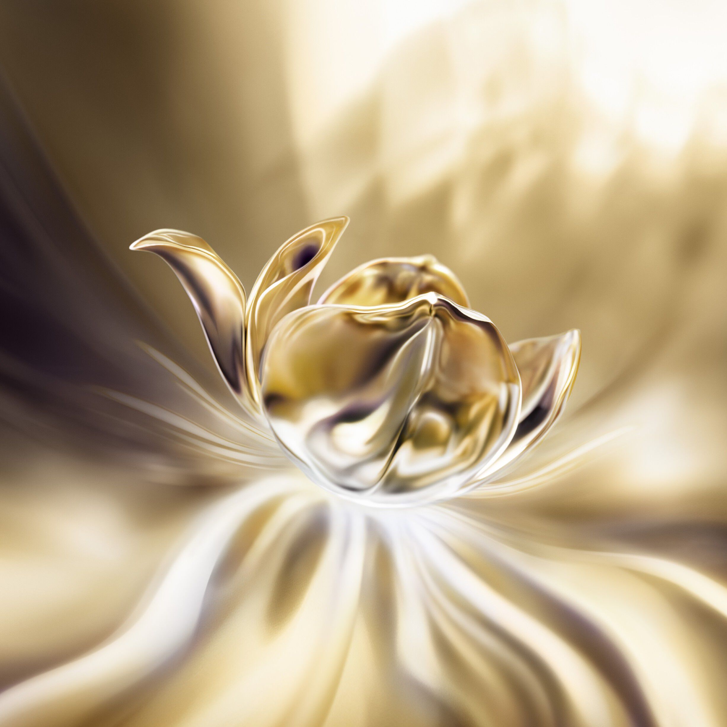 LC ABSOLUE SOFT CREAM J60ML R25