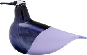 BBT Oriol 245x135 lyselilla årsfugl 2025