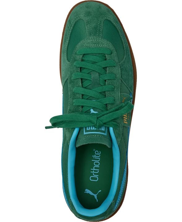 Palermo Vintage Update