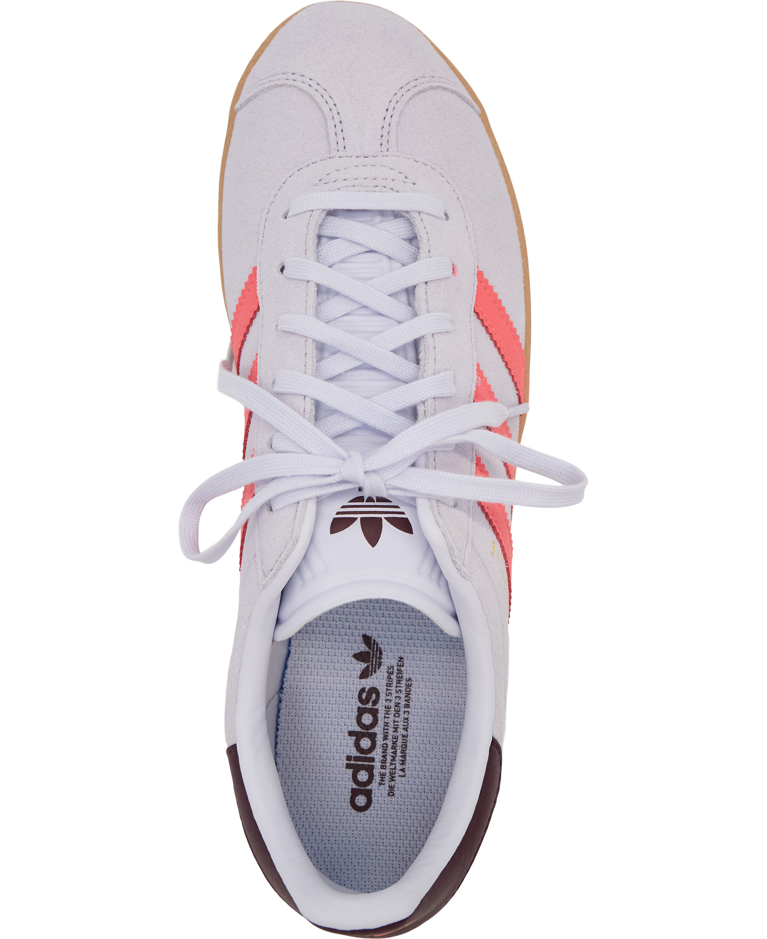 GAZELLE J