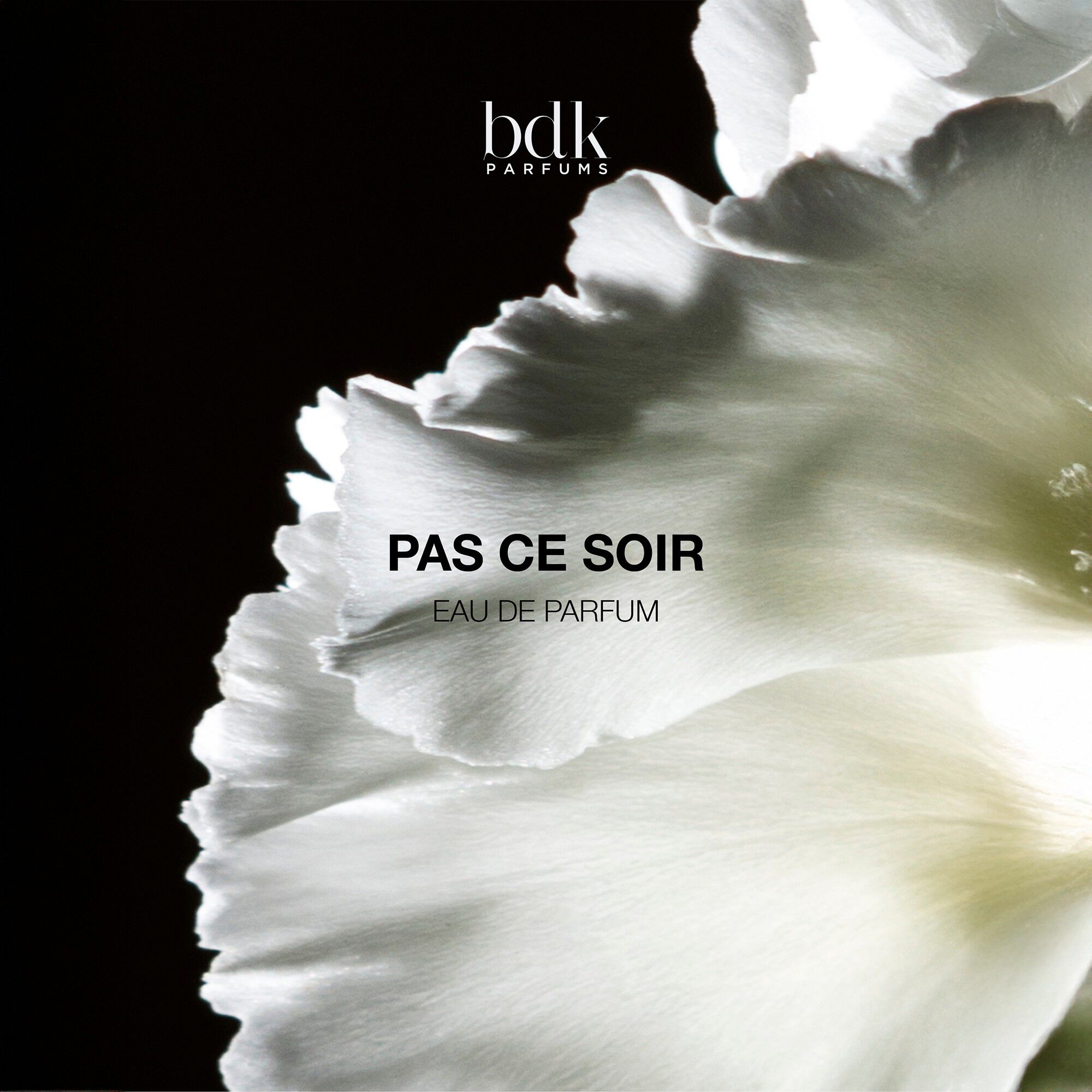 PAS CE SOIR - Eau de Parfum 100 ML