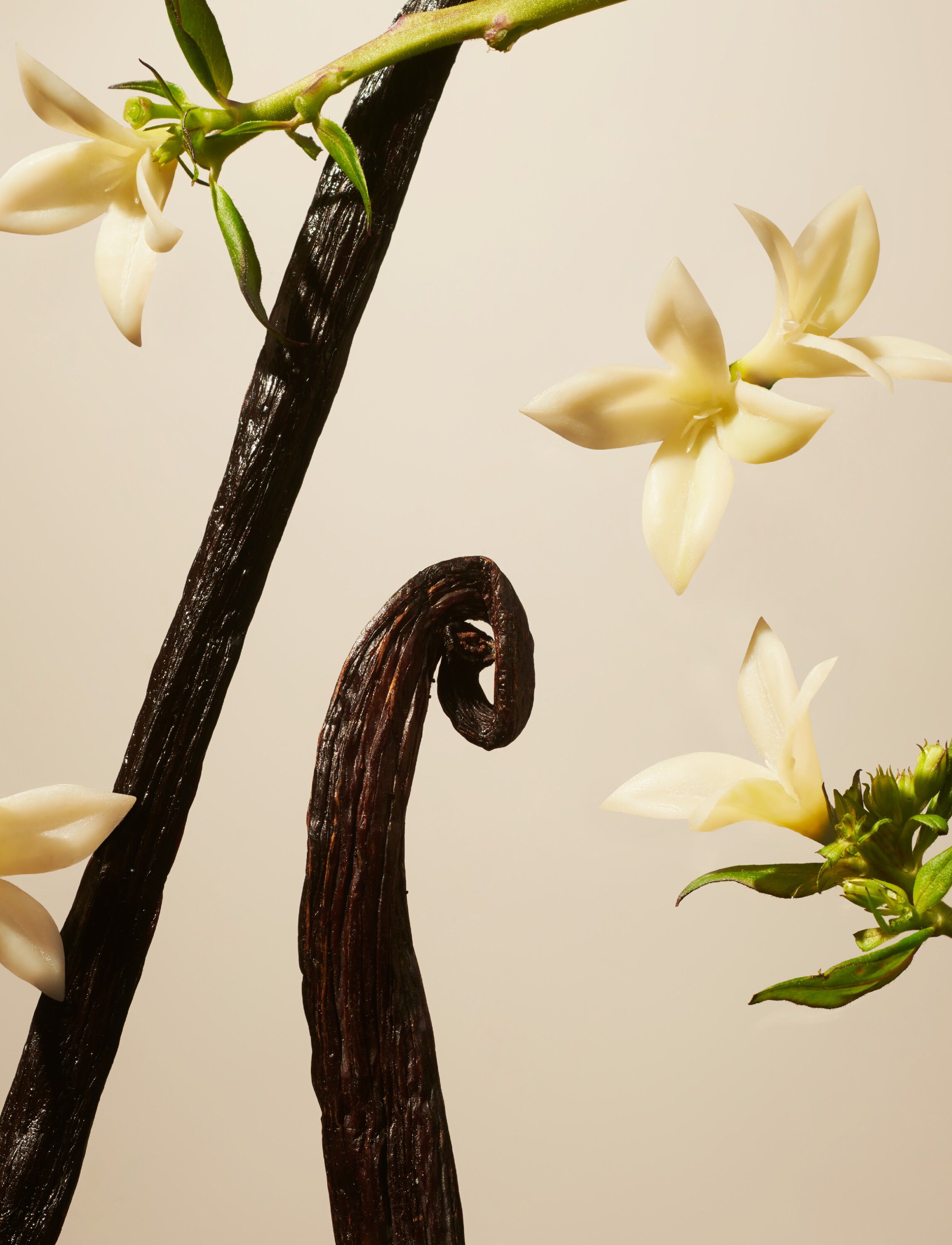 Suede Vanilla Home Perfume 400ml