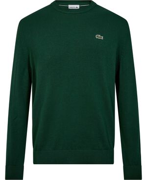 CREWNECKS SWEATERS MALE ADULT SWEAT