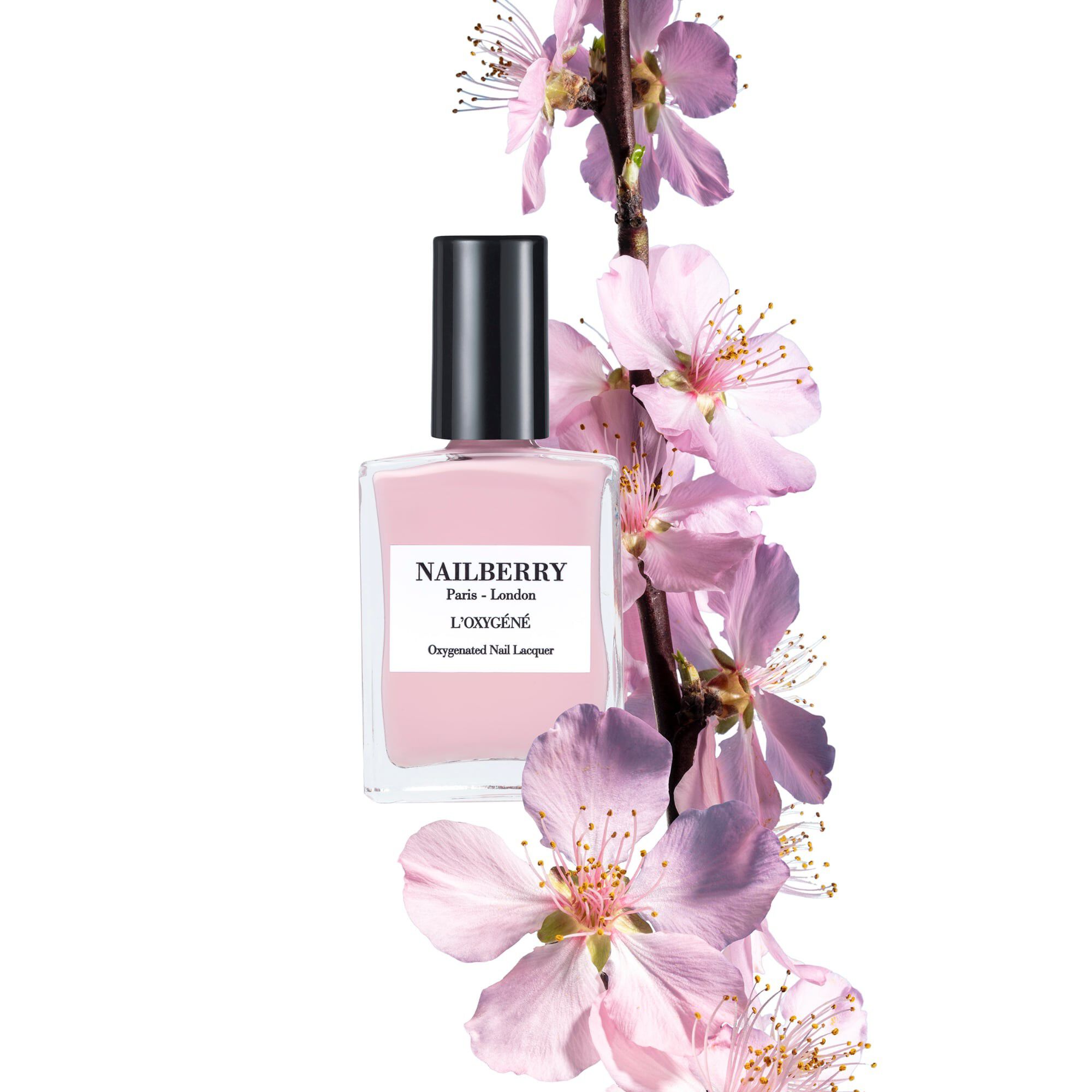 NAILBERRY Kyoto Bloom