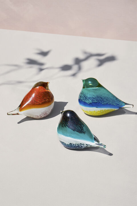 GLASS BIRD ATLAS BLACK/GREEN