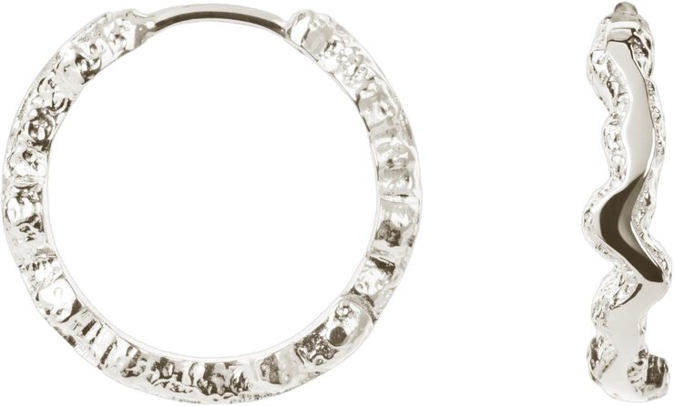 Small Shiny Sparkly Hoops