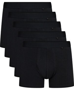 Trunk Morley 5-pack GOTS