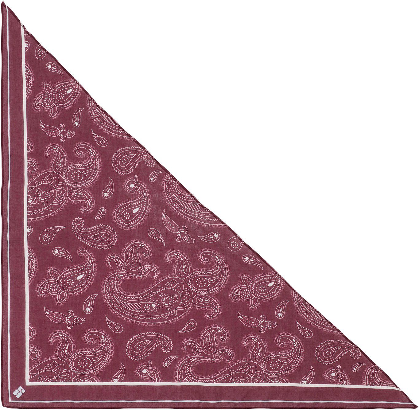 Paisley Triangle Scarf