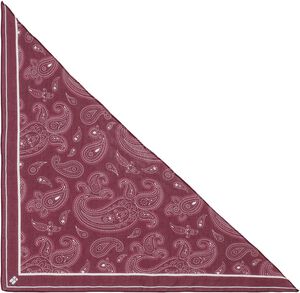 Paisley Triangle Scarf
