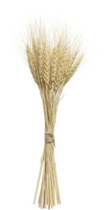 Organic Lindengloss Intensive Hair Mask