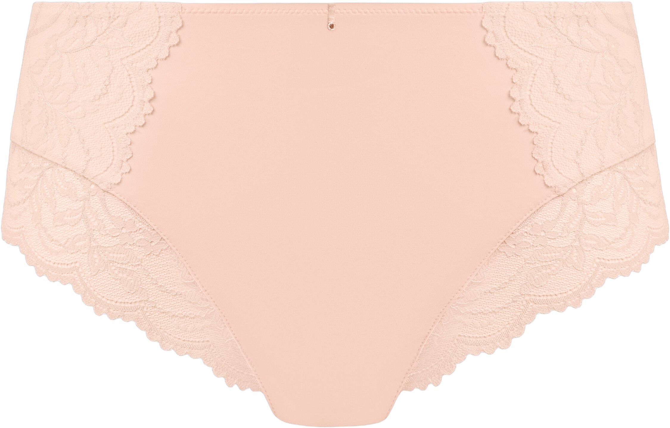 CESILE FULL BRIEF
