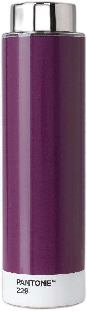 Pantone DRINKING BOTTLE TRITAN Aubergine 229