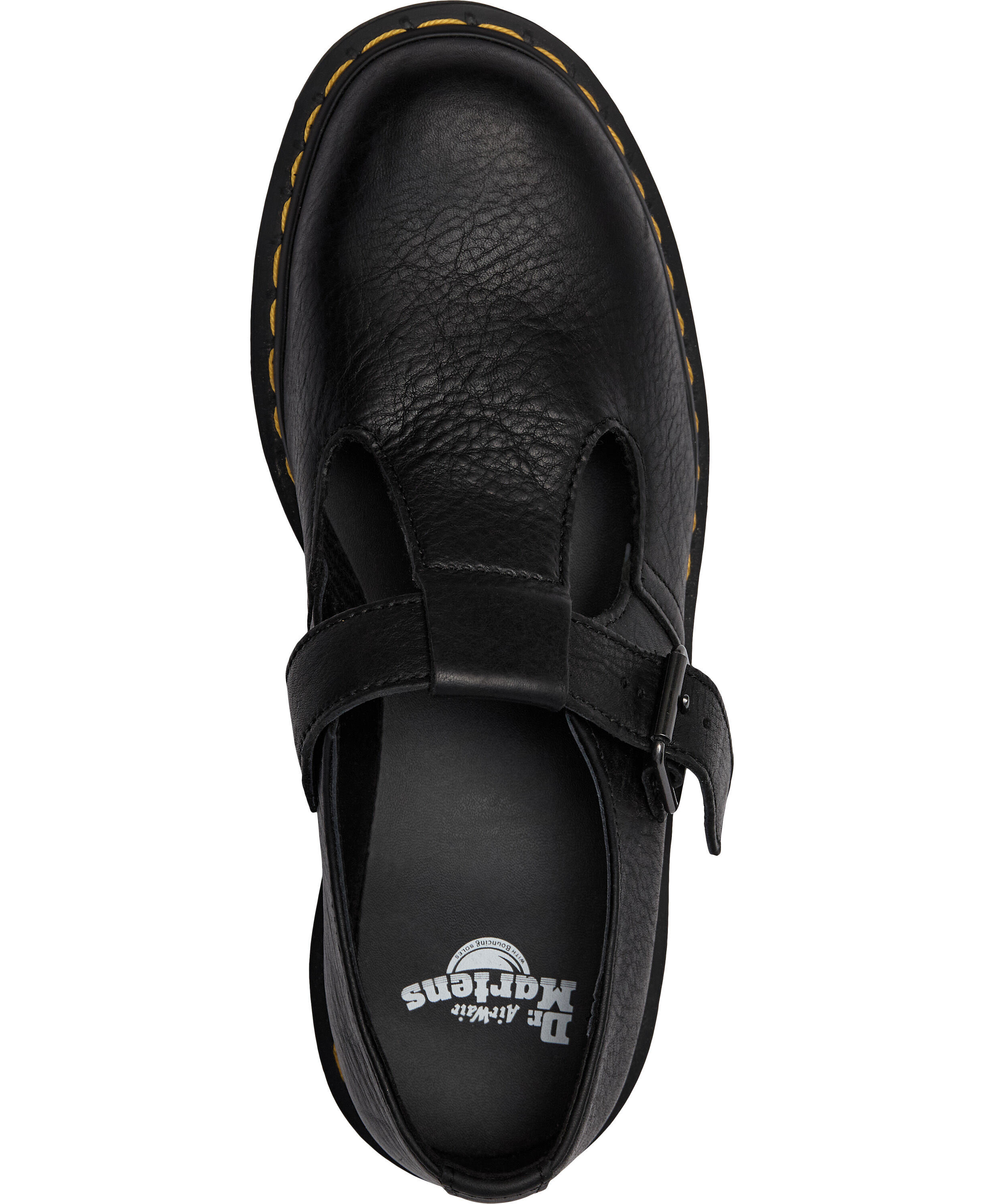 Polley Black Ambassador