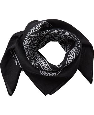 Bandana scarf 1