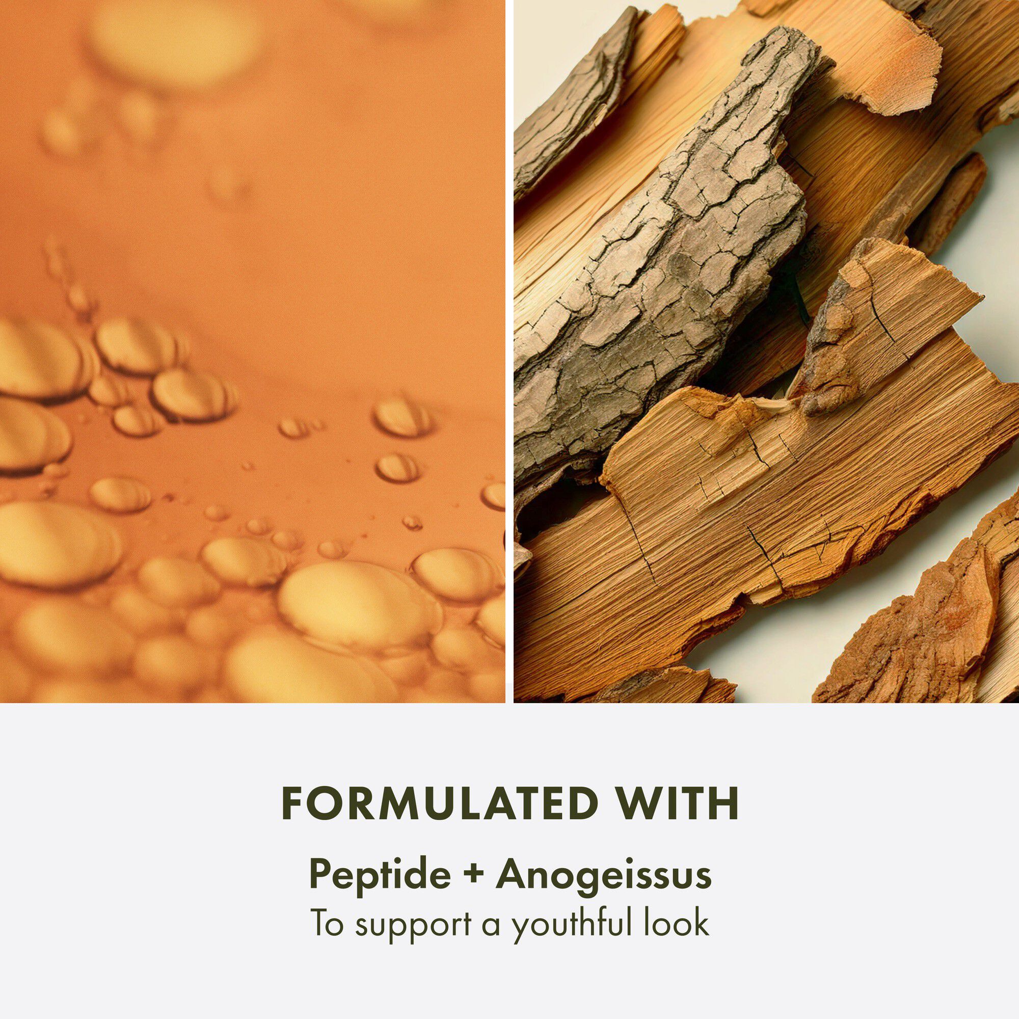 Plantscription SPF 25 Power Anti-Aging Face Cream