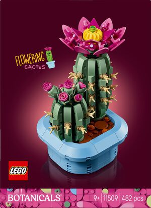 Blomstrende kaktus 11509