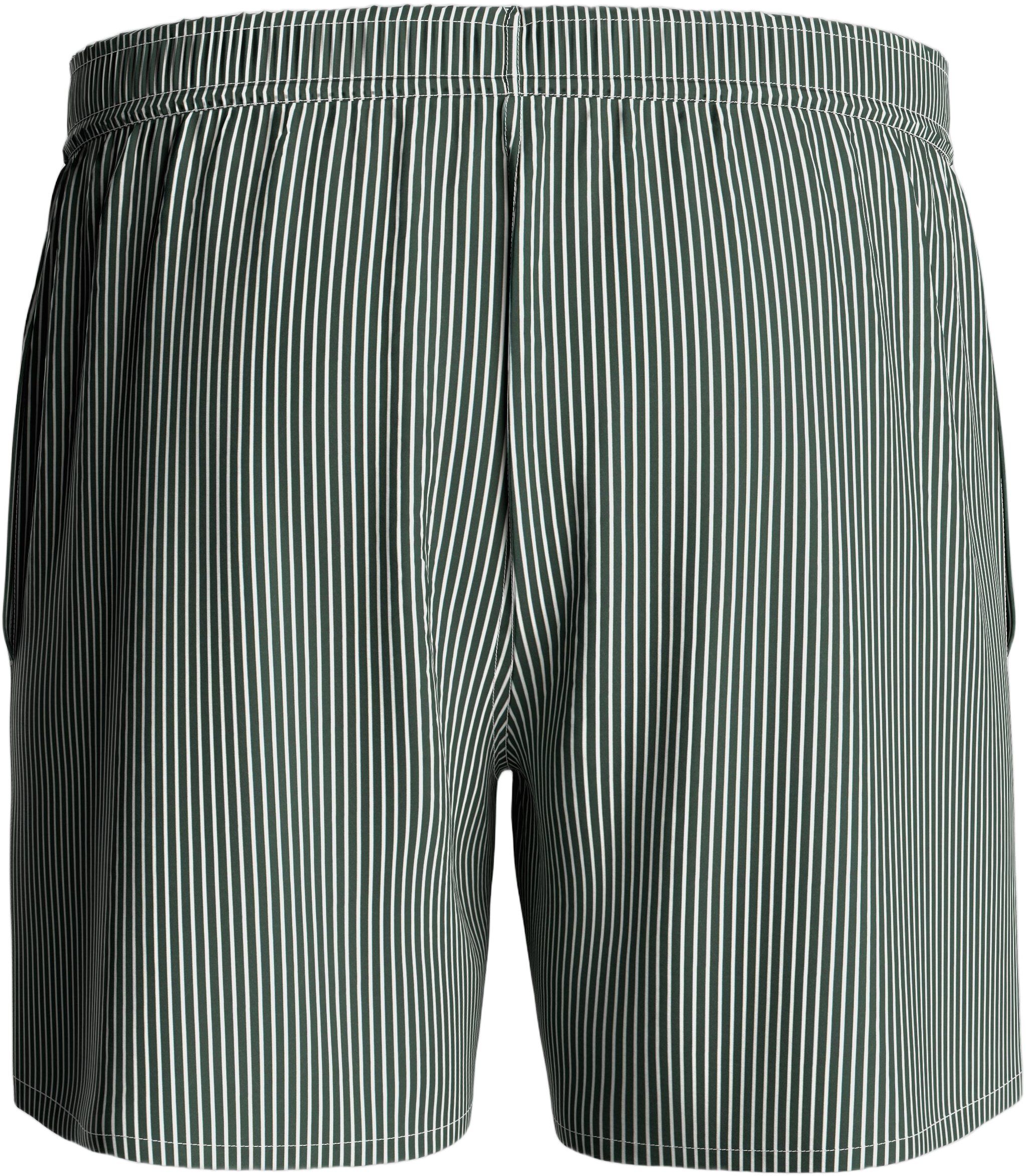 Striped Swim Shorts