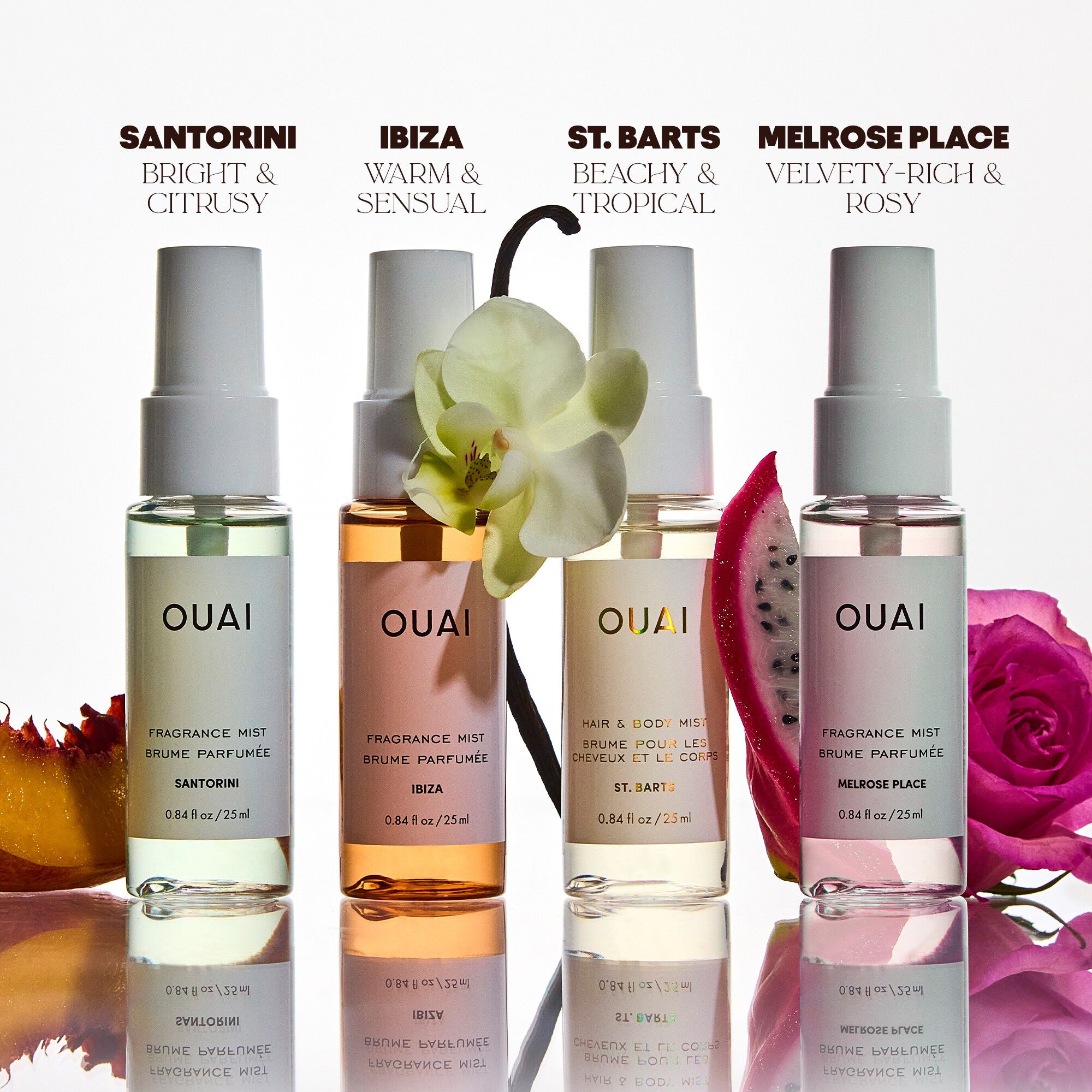 INSTANT OUAI-CATION KIT