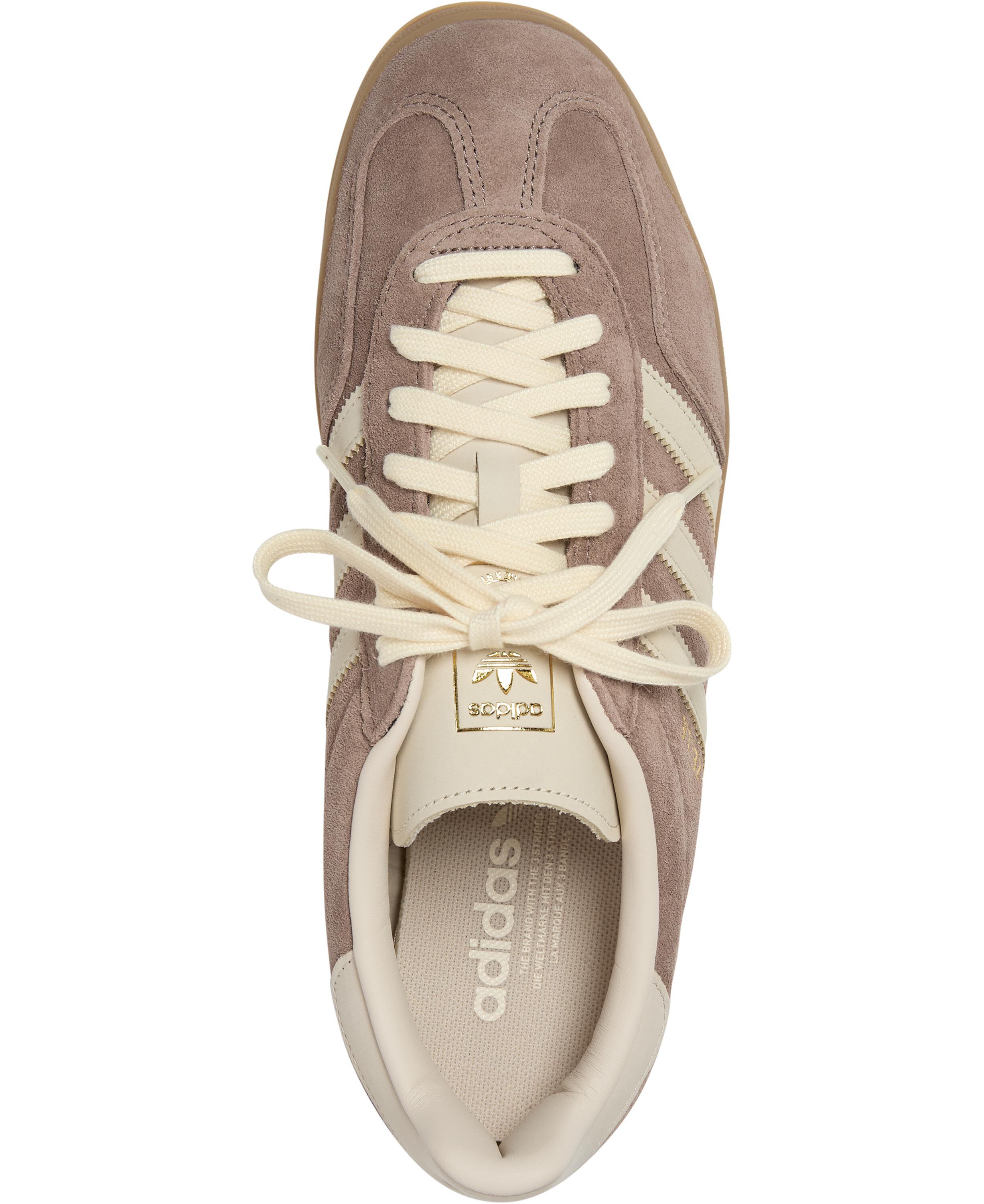 GAZELLE INDOOR