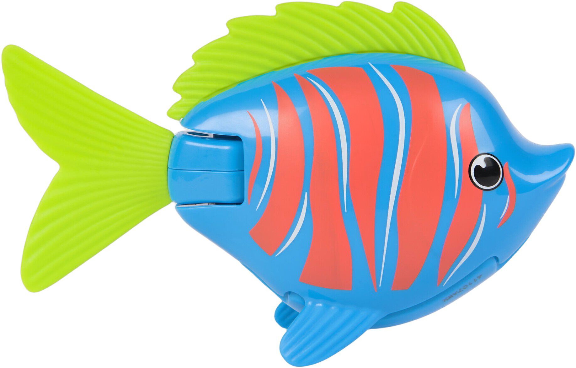 Rainbow Reef Fish - Beta