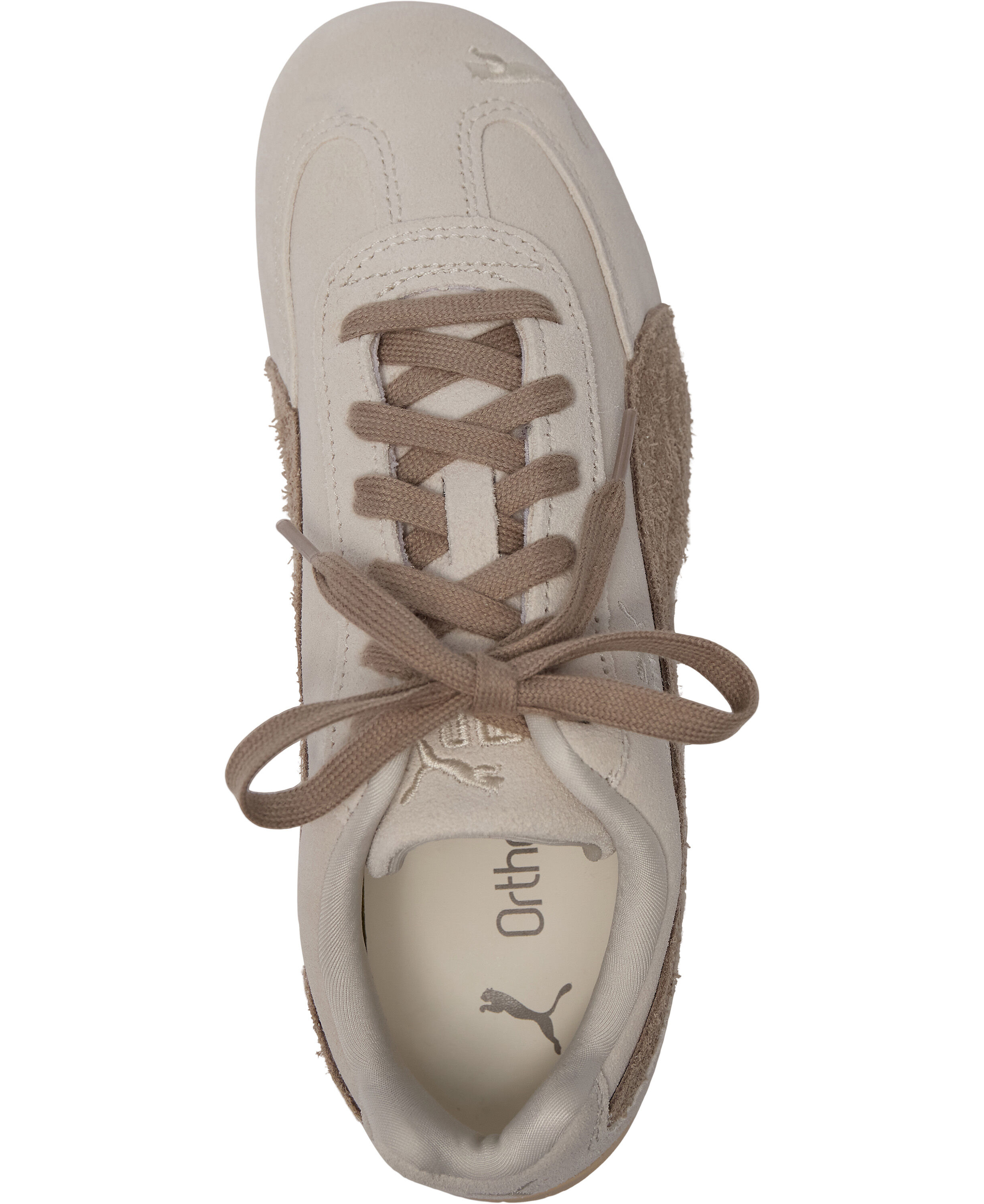 Speedcat Elevated Wns