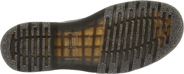 2976 Black Ambassador