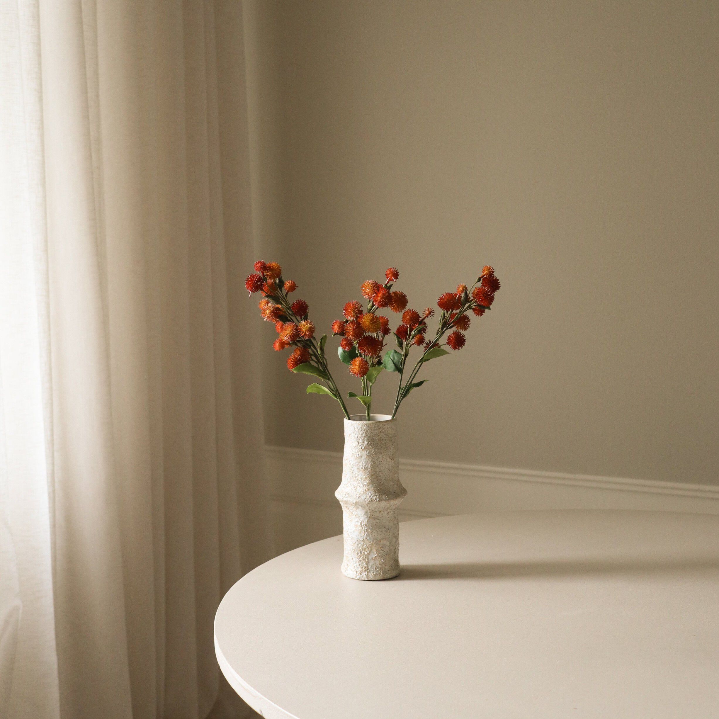 Echinops Ritro Thistle Ball