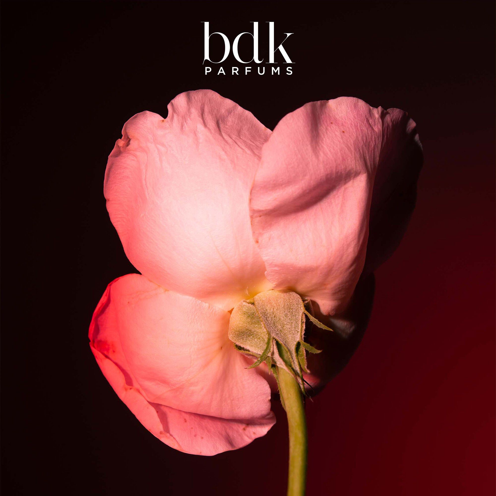 TABAC ROSE - Eau de Parfum 100 ML