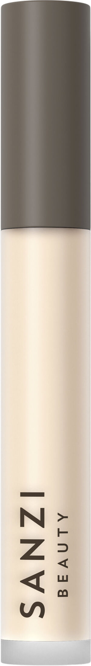 Perfecting Concealer