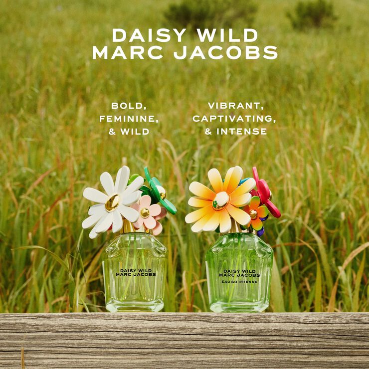 DAISY WILD INTENSE
