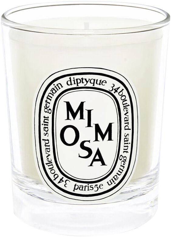 Mimosa Scented Candle