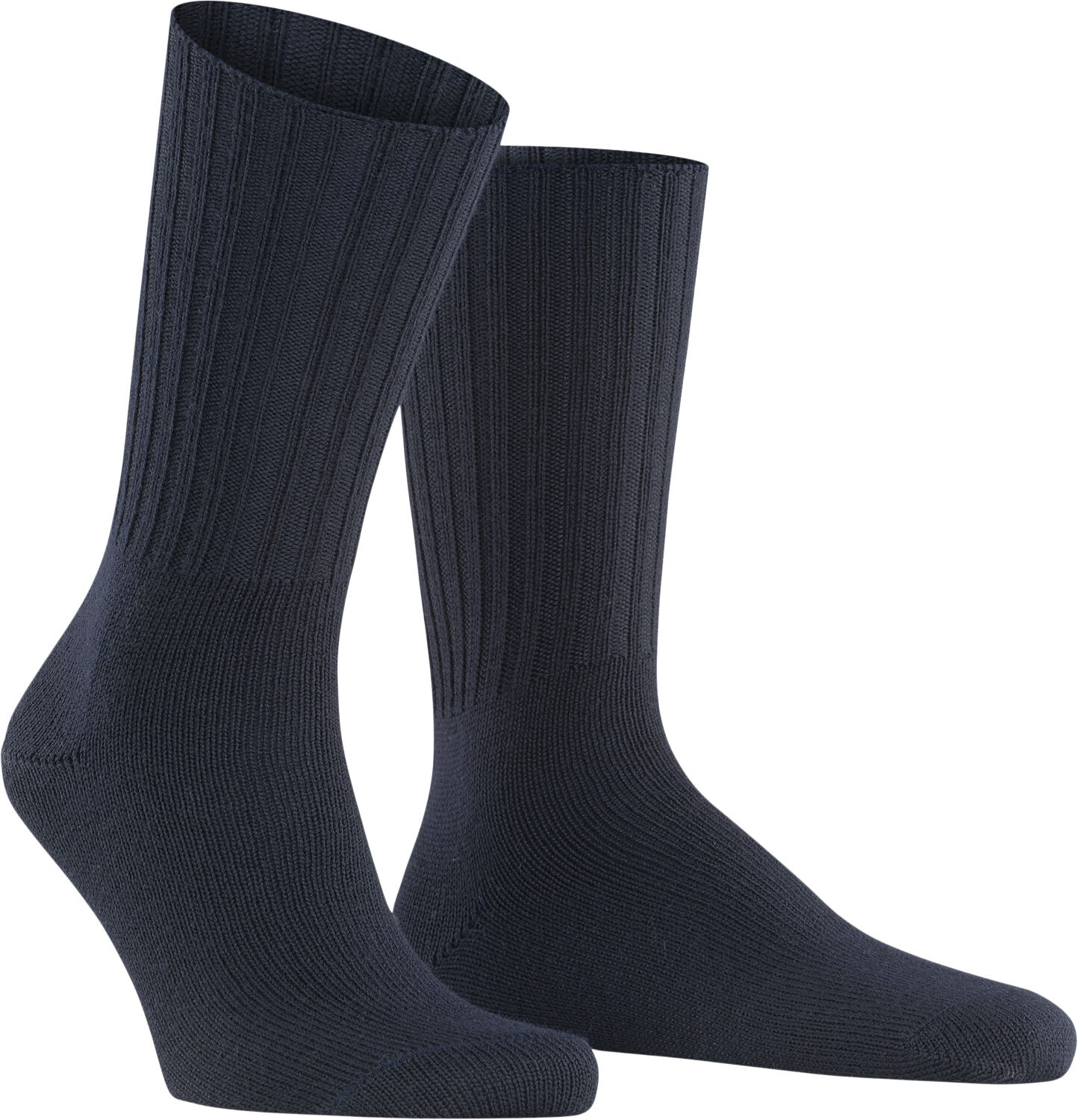 Nelson SO