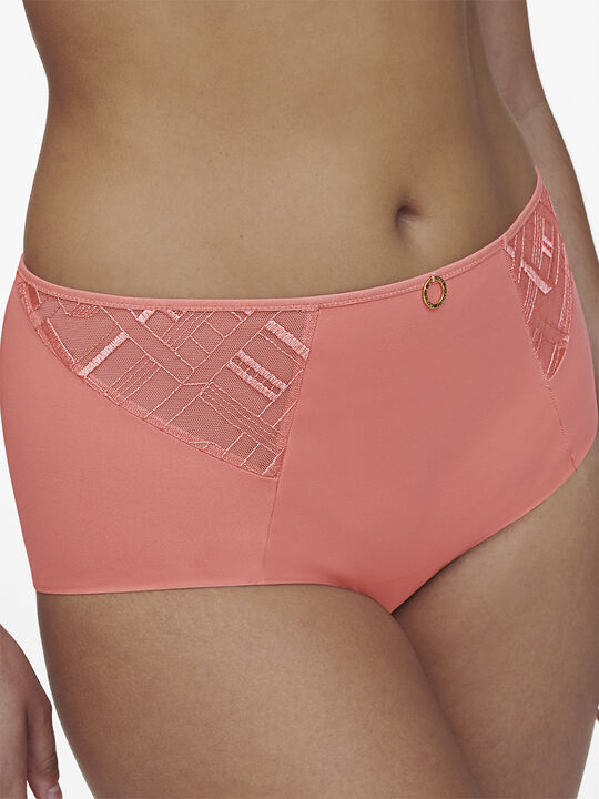 Graphic Support High waisted support full brief