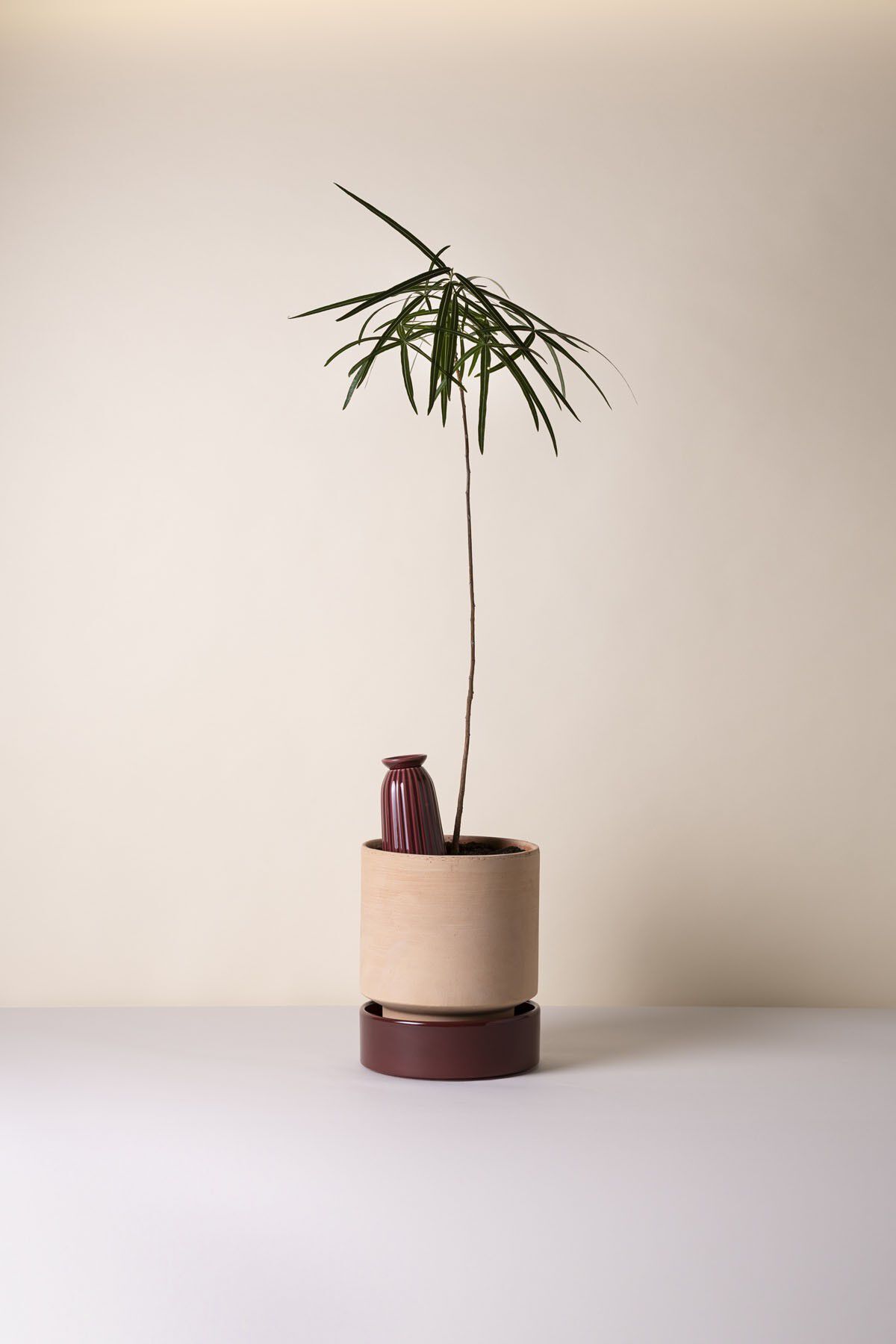 Hoff RAW Rosa/GLAZED Deep Burgundy, &Oslash; 18 cm, Set