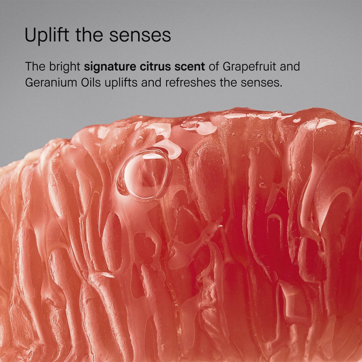 Vitamin Enriched Smoothing Serum