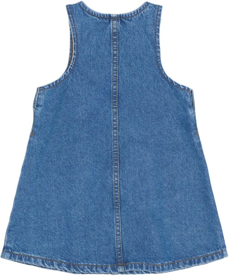 TNSTPida S_L Denim Dress