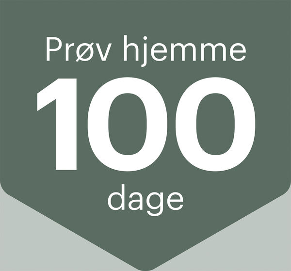 Easy Fry & Grill XXL 2in1 Silver