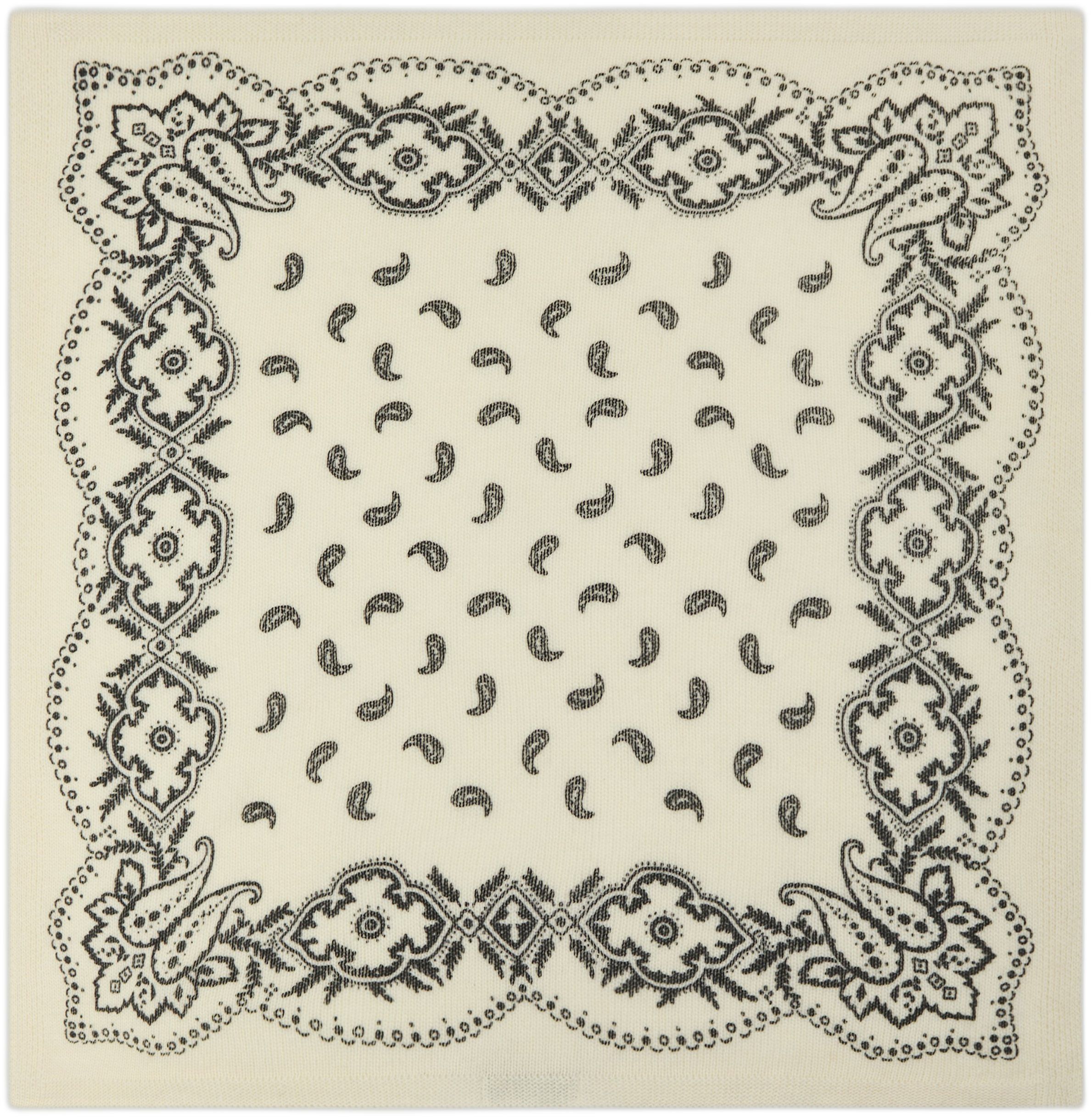 Adelina Paisley Knit Scarf