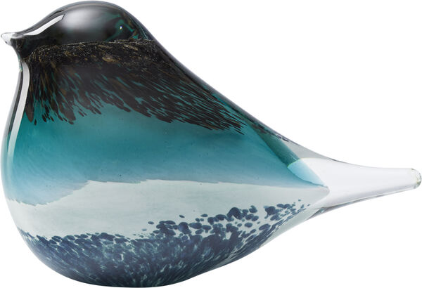 GLASS BIRD ATLAS BLACK/GREEN